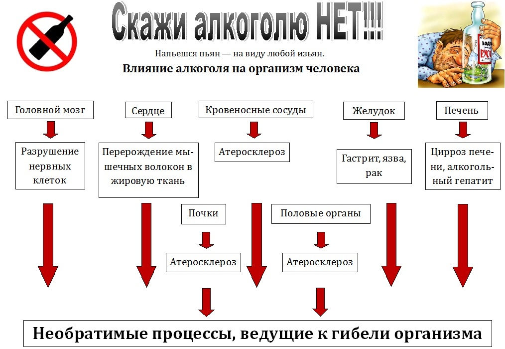 Картинки вред пьянства